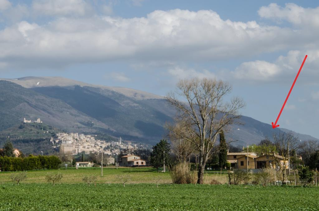 Le Case Dell'Olmo Assisi Eksteriør bilde